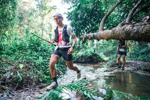 BIB: 
                            <button type="button" onclick="openModal(25442130)" class="btn btn-primary btn-sm float-right btn-popup" data-toggle="modal" data-target=".modal-high-quality">
                        <i class="fas fa-shopping-cart"></i> Add to Cart
                    </button>
                                            <button type="button" onclick="isThisMe(25442130, true)" class="btn btn-success btn-sm float-right btn-popup btn-isme hidden" data-toggle="tooltip" data-placement="bottom" title="นี่คือรูปของคุณใช่ไหม คลิกที่นี่เพื่อเอาเข้าอัลบั้ม">
                        <i class="fas fa-plus"></i> Add to album
                    </button>
                    <button type="button" onclick="isThisMe(25442130, false)" class="btn btn-warning btn-sm float-right btn-popup btn-isnotme hidden">
                        <i class="fas fa-ban"></i> Remove from album
                    </button>